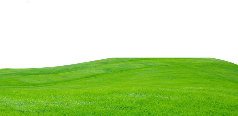 Green Modern World Environment Day Flyer (5)
