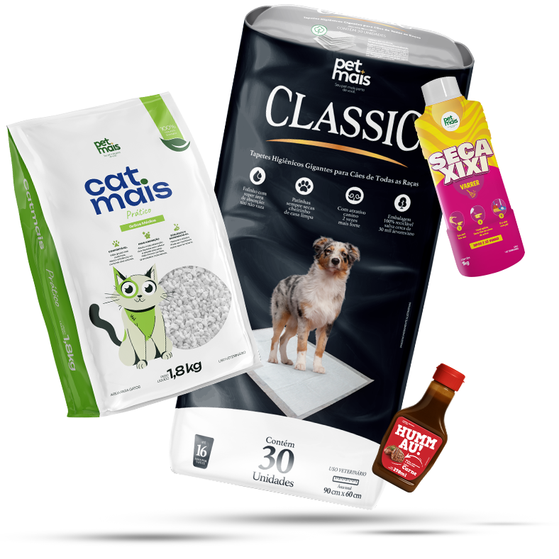 LP_CONVERSÃO_Prancheta 1